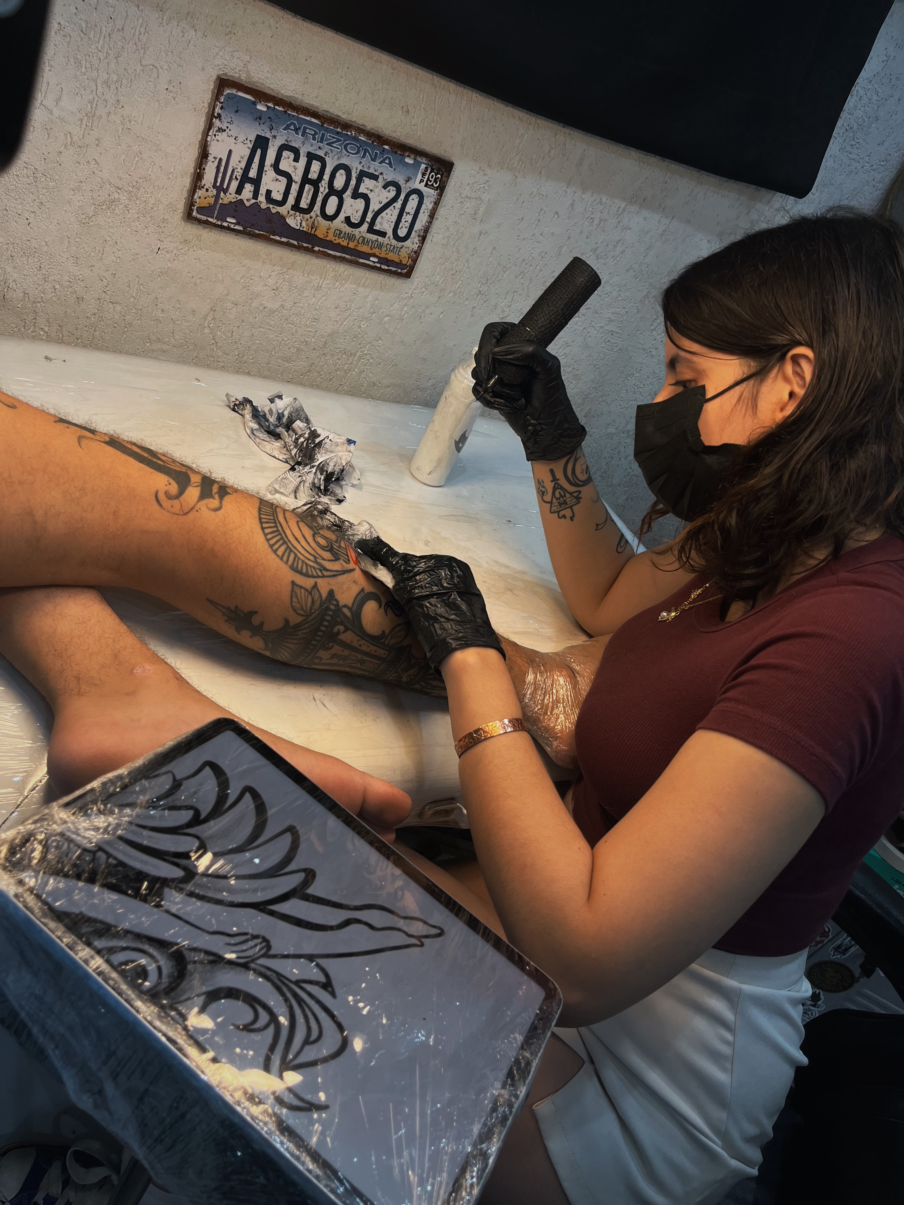 Aplicação acompanhada em modelo real